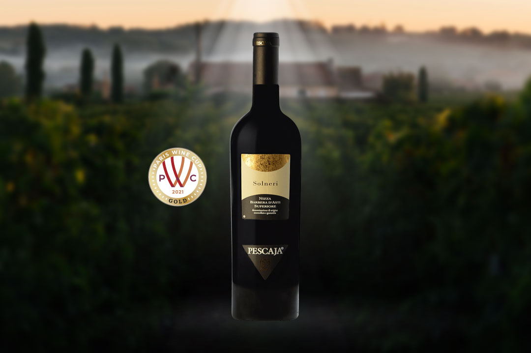 pariswinecup Barbera D'asti Superiore Solneri